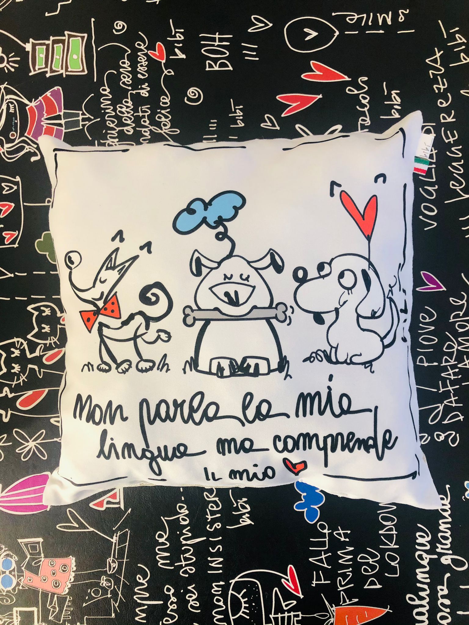 CUSCINO 30X30cm "NON PARLA LA MIA LINGUA"